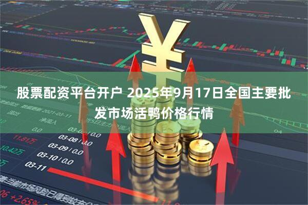 股票配资平台开户 2025年9月17日全国主要批发市场活鸭价格行情