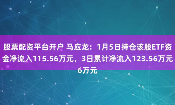 股票配资平台开户 马应龙：1月5日持仓该股ETF资金净流入115.56万元，3日累计净流入123.56万元